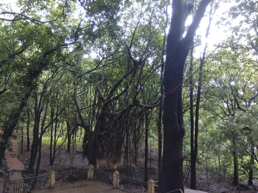 Mai ki Bagiya-Amarkantak必去景点