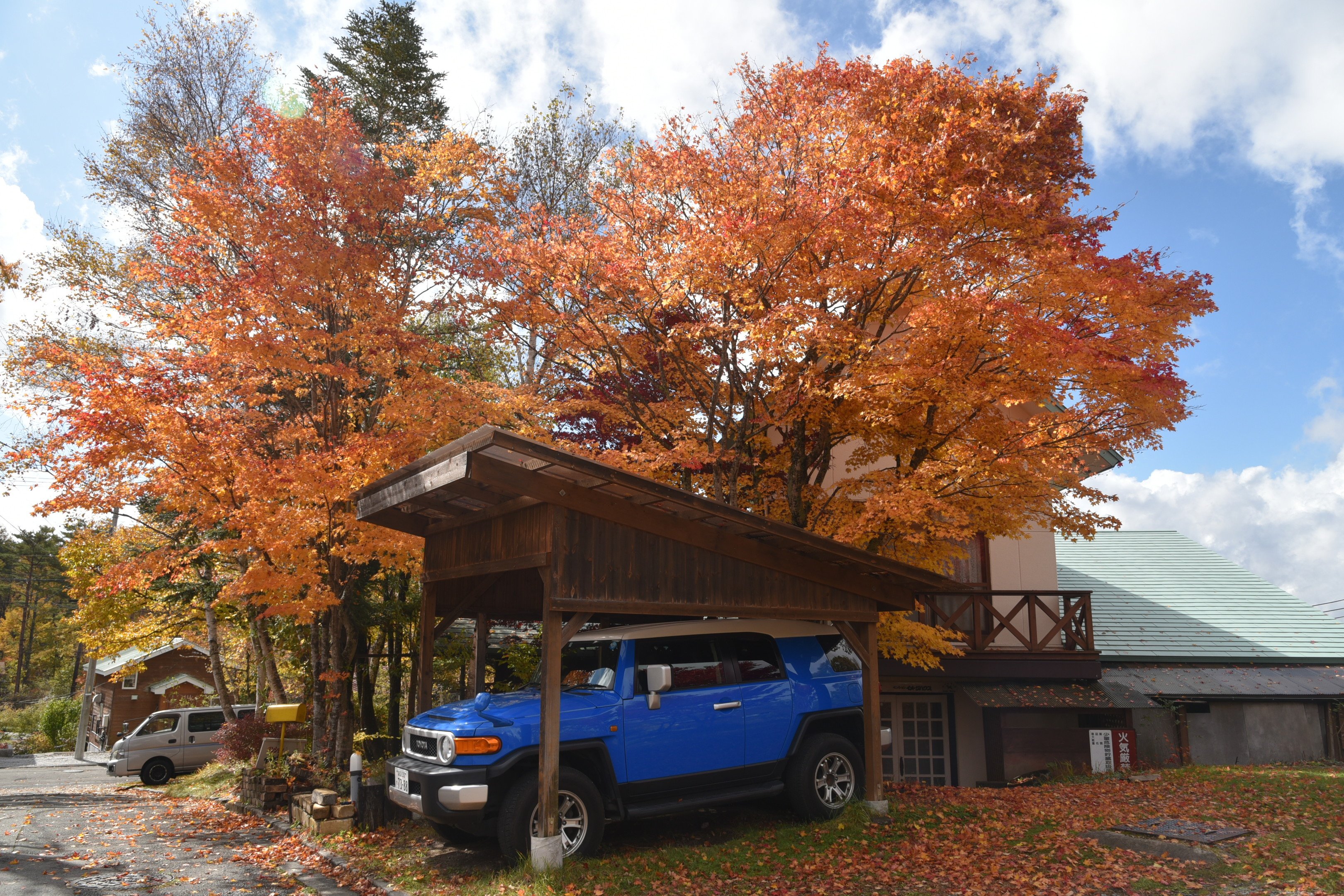 Pension Image House-官方