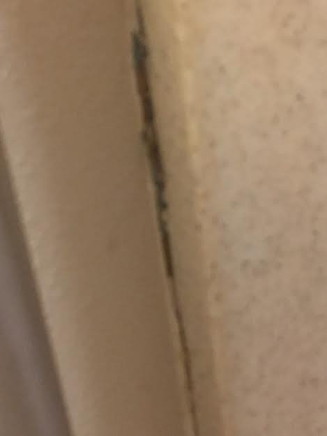 威尔逊烛木套房酒店主图