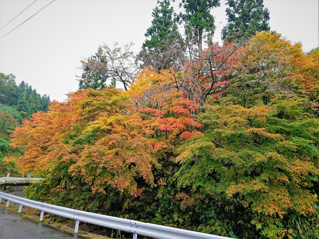 Iwakuraonsen-官方