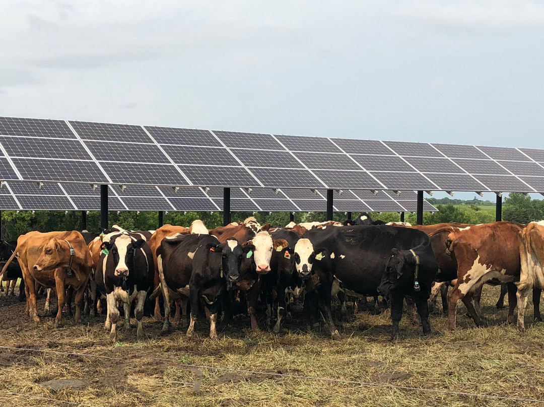 West Central Research & Outreach Center-Morris必去景点