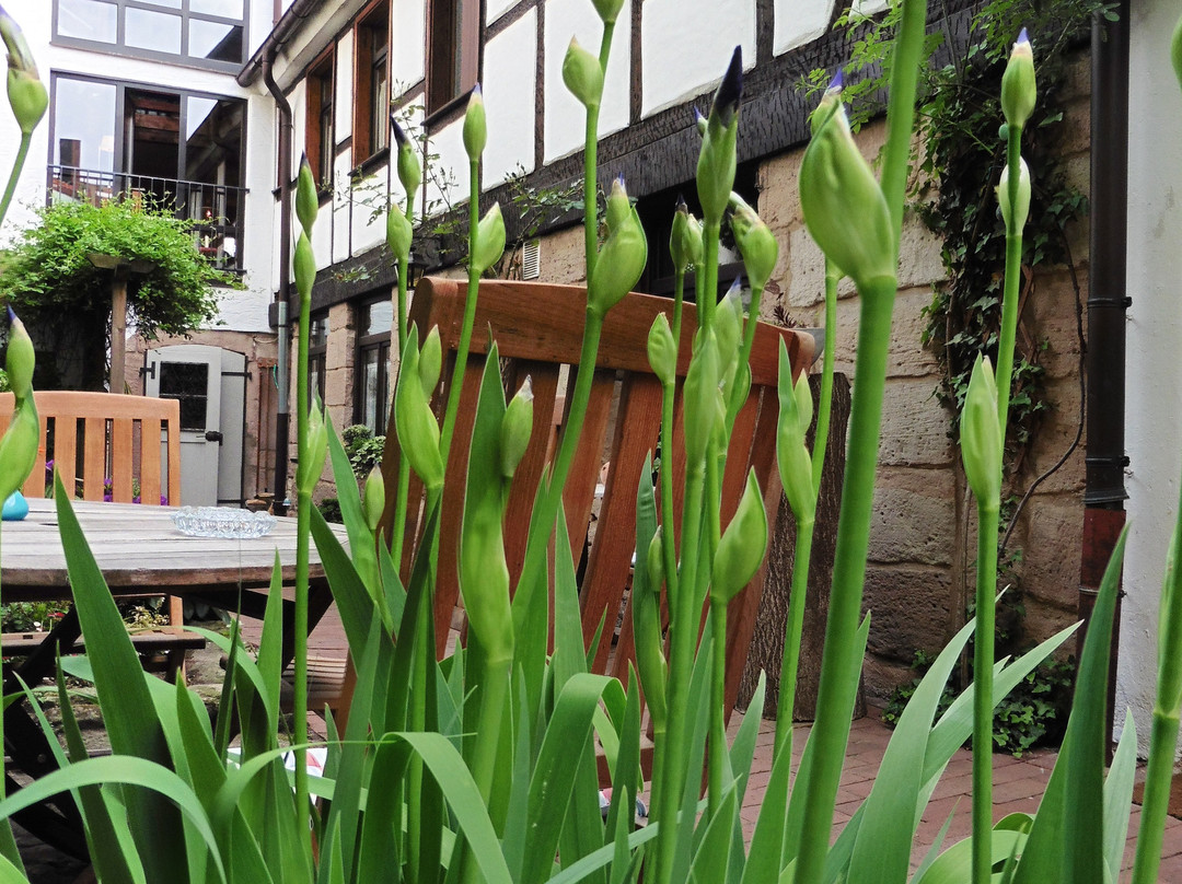 Hotelchen am Theater主图