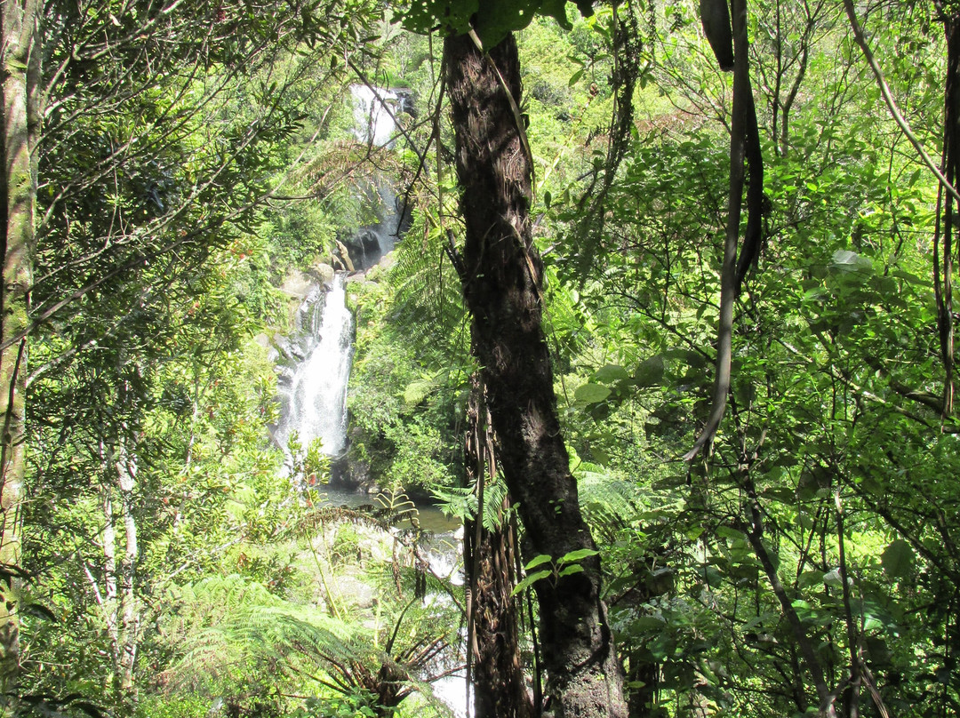 Kaiate Falls景点图片