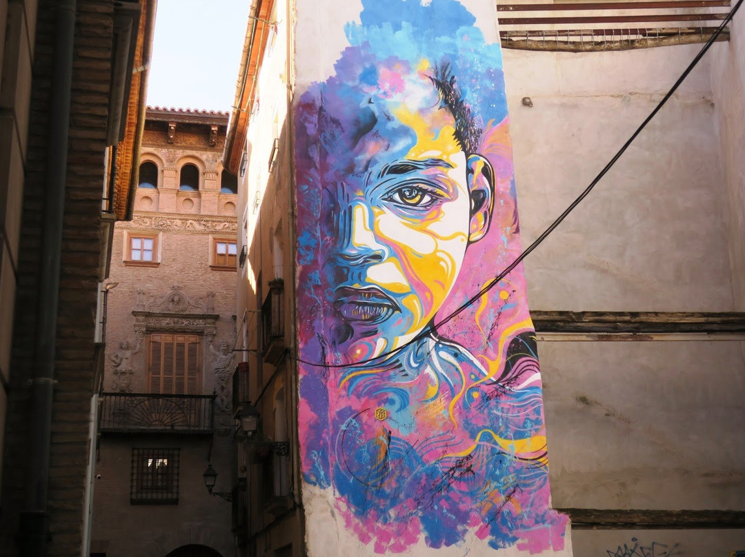 Museo Muñoz Sola de Arte Moderno-Tudela必去景点