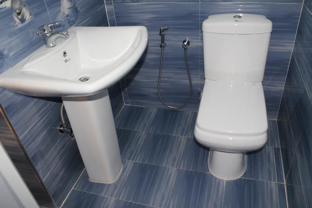 Anusha Holiday Inn主图