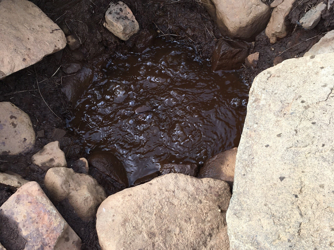 Raudamelsolkelda-Borgarfjordur Eystri必去景点