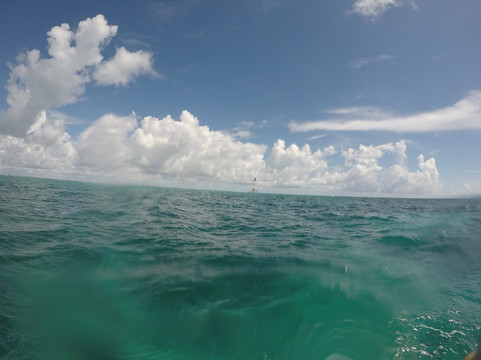 Seamonkey's Scuba Diving-伊斯拉摩拉达必去景点