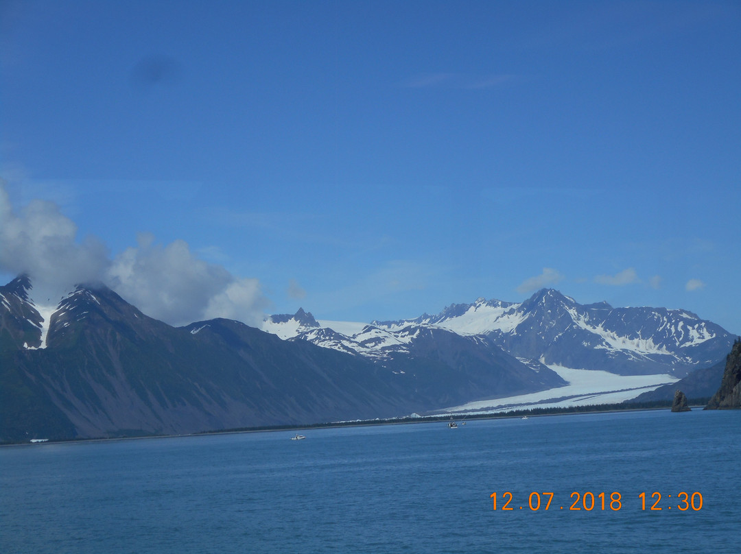 Bear Glacier景点图片