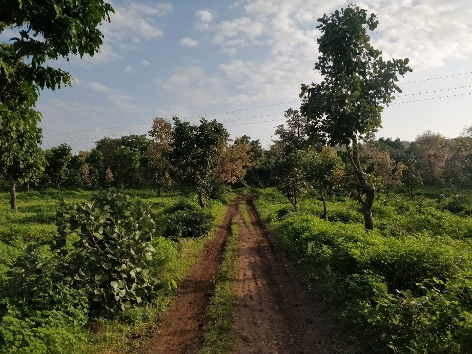 Choral Dam-Mhow必去景点