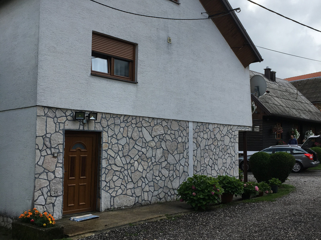 House Drakulic主图