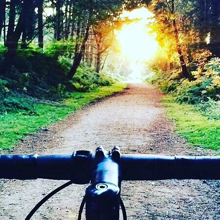 Gascogne Bike Hire景点图片