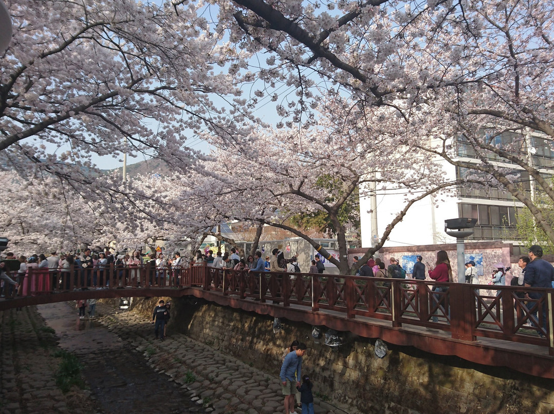Yeojwacheon Stream-昌原市必去景点
