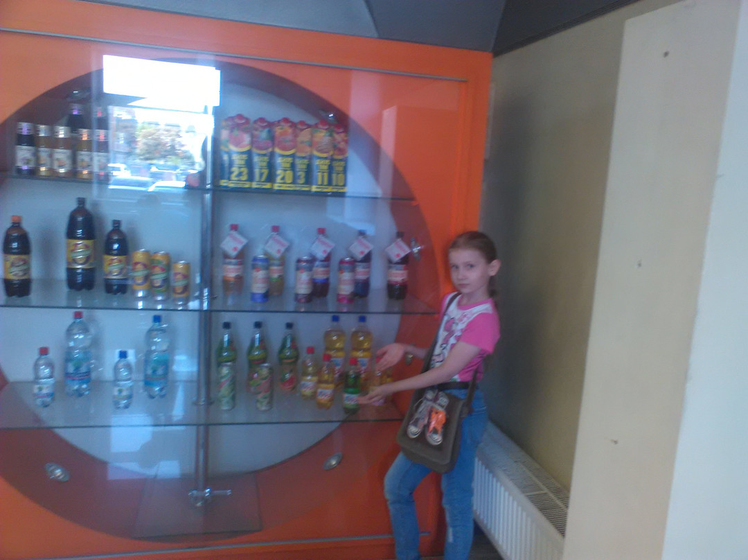 Museum of Traditional Russian Beverages Ochakovo景点图片