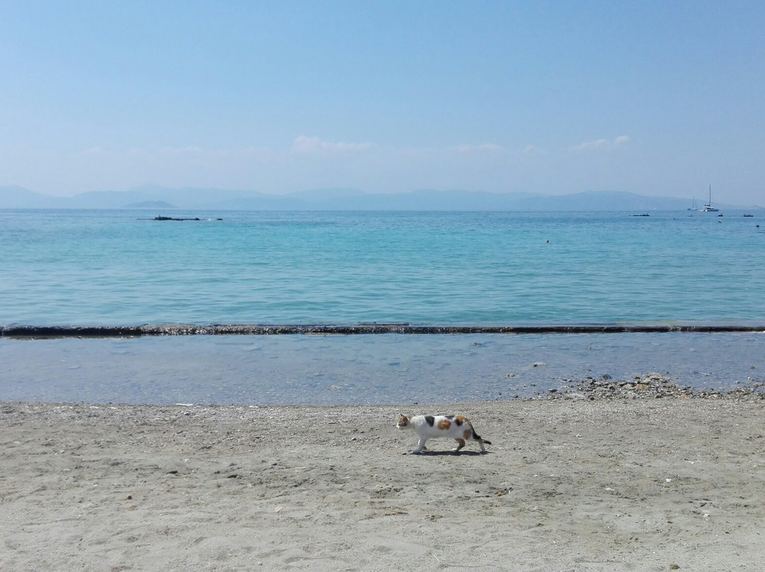 Avra Beach景点图片