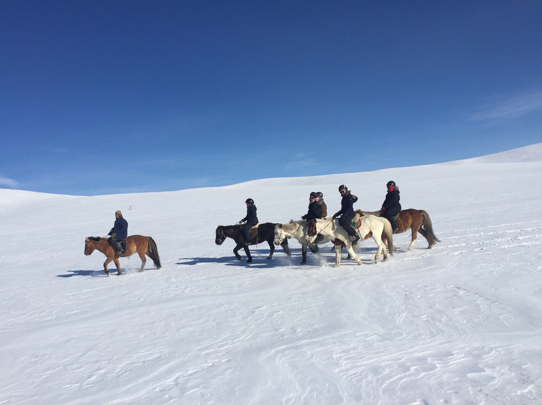 Horse Trek Mongolia-乌兰巴托必去景点