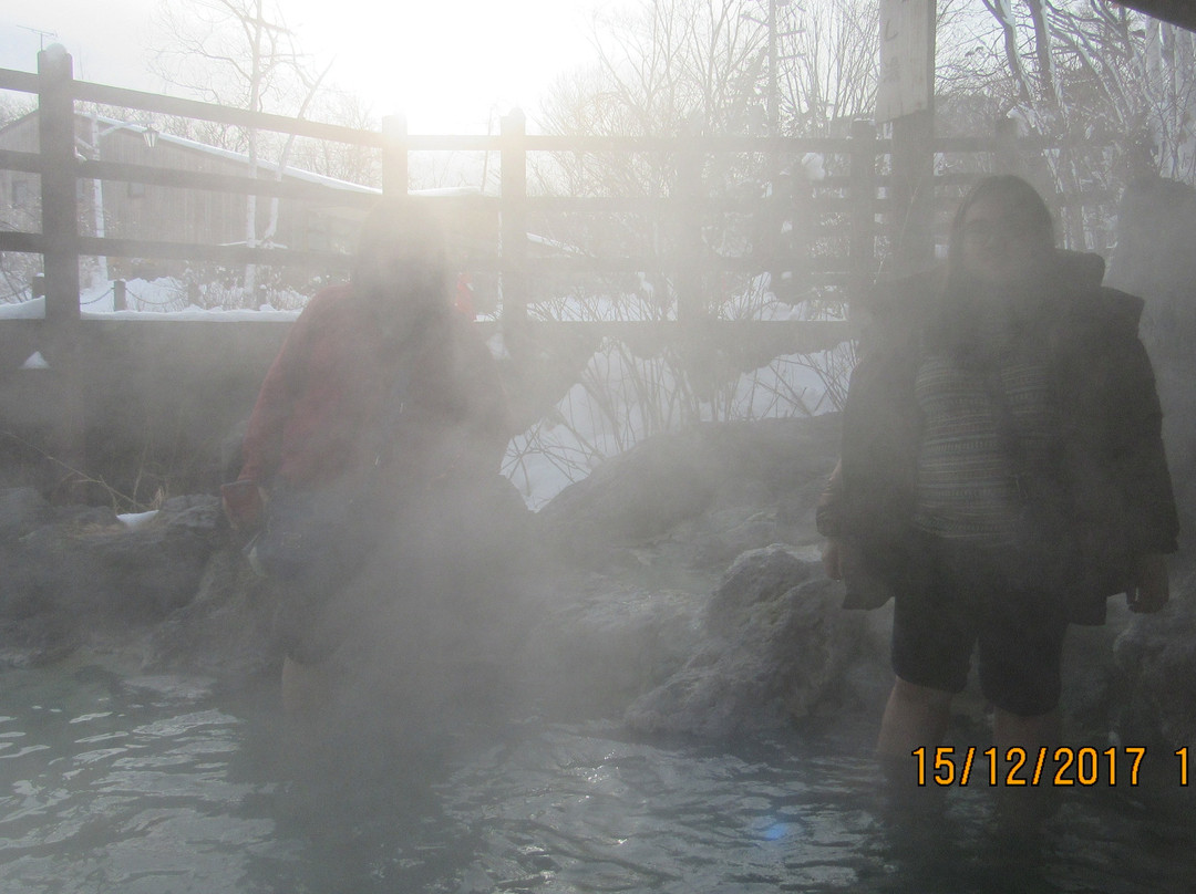 Kawayuonsengai no Ashiyu-弟子屈町必去景点