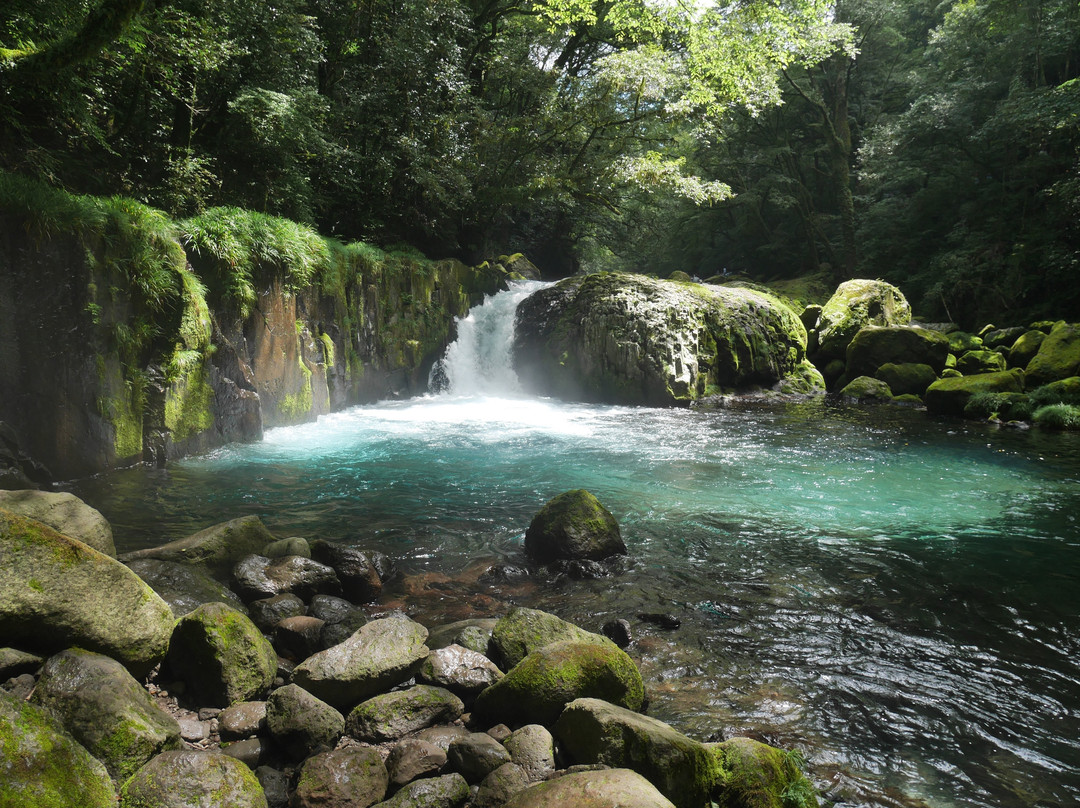 Kikuchi Gorge景点图片