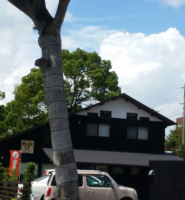 くろがねもーち