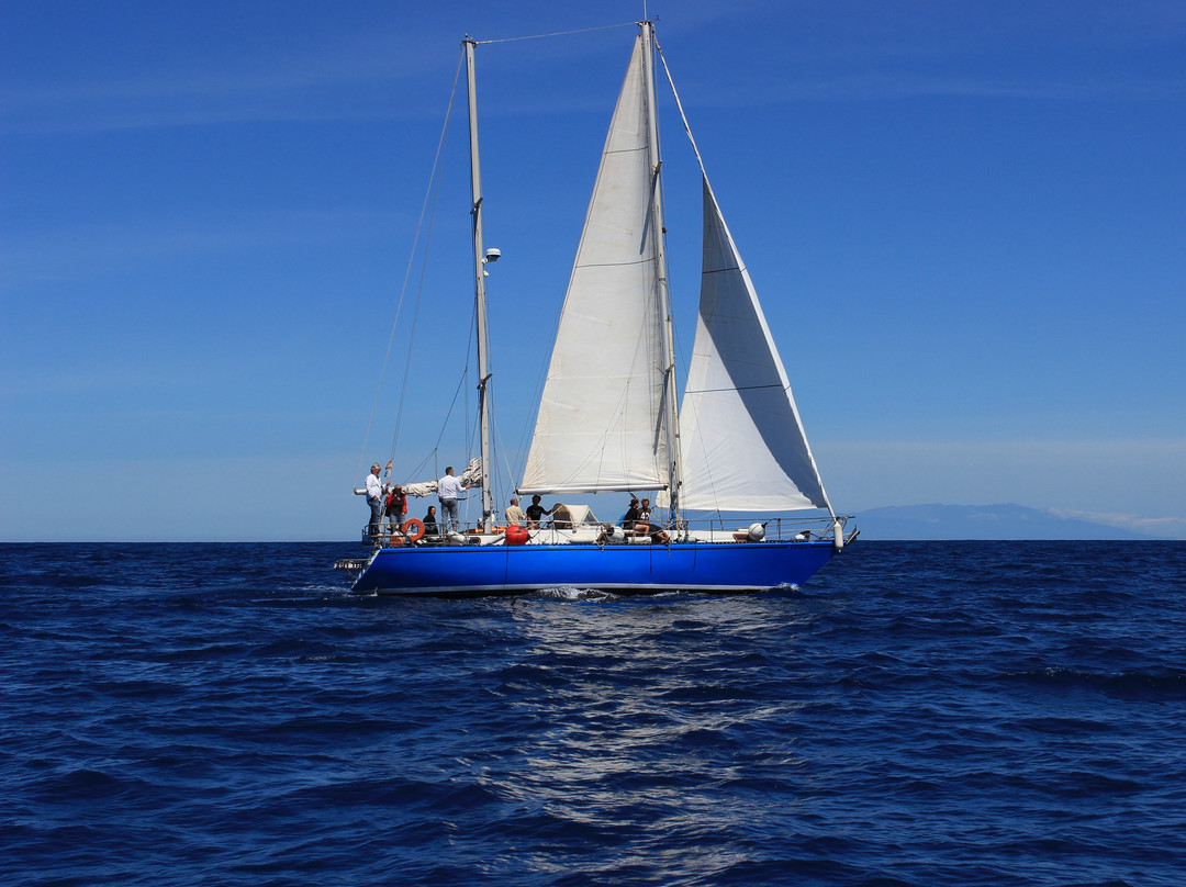 Physalia Sailing Excursions-Valle Gran Rey必去景点