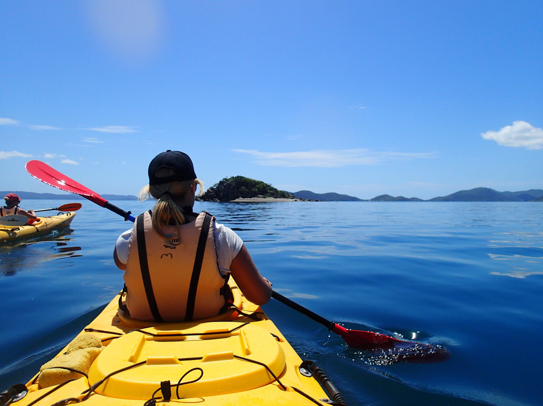 Salty Dog Sea Kayaking - Day Tours景点图片