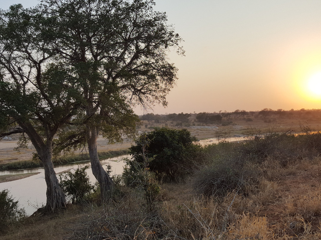 Bushwise Safari lodge Kruger Park主图