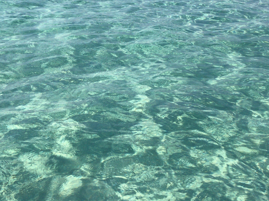 Playa de S'Espalmador-Cabrera必去景点