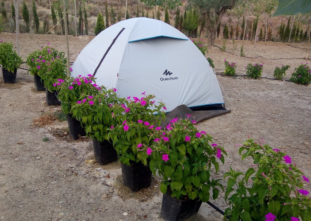 Pachamama Ecocamping