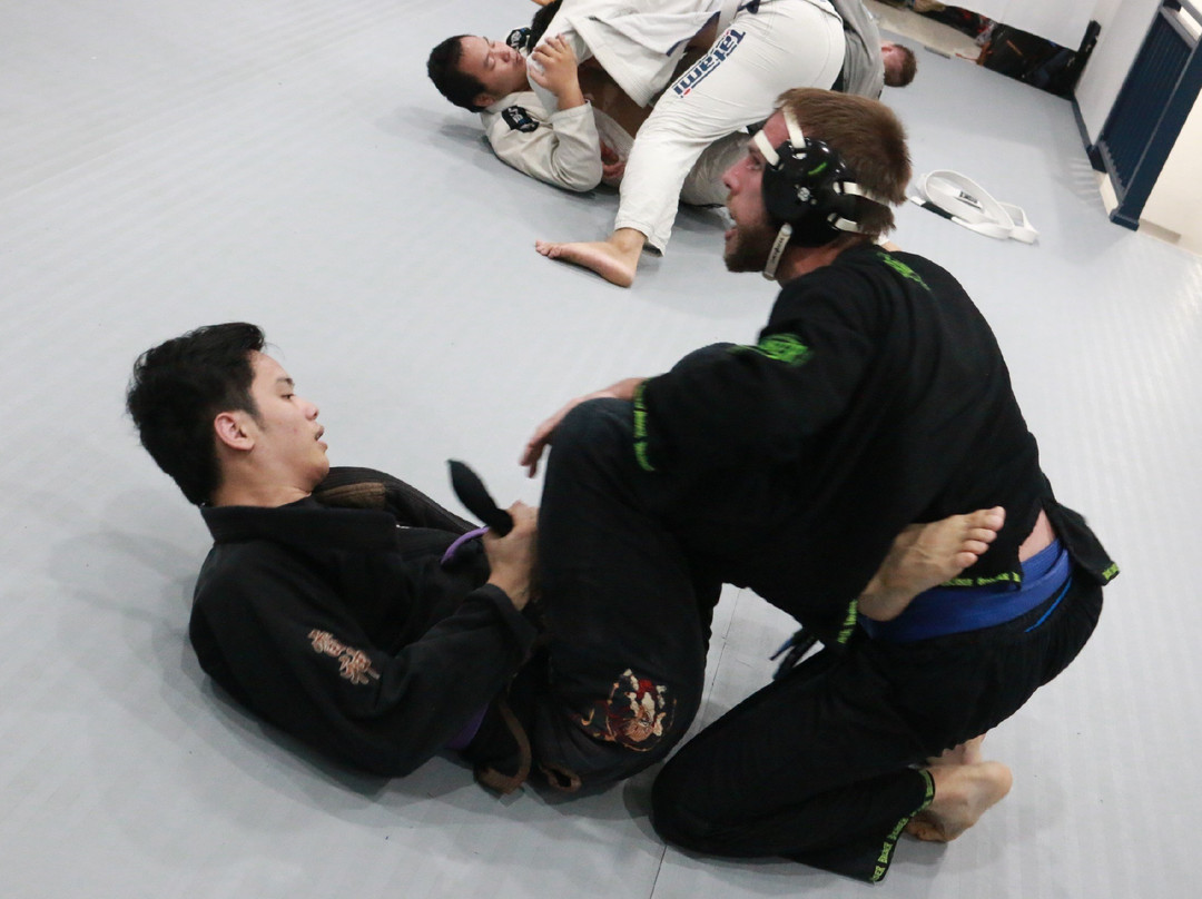 Pure Grappling Jiu Jitsu Collective-清迈必去景点
