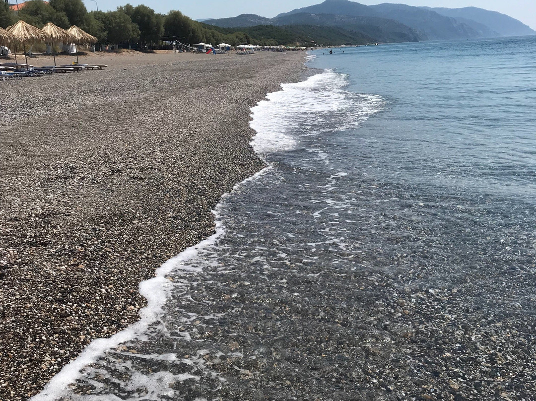 null-Vatera