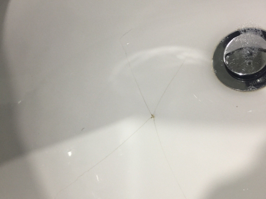 Areca Launceston主图