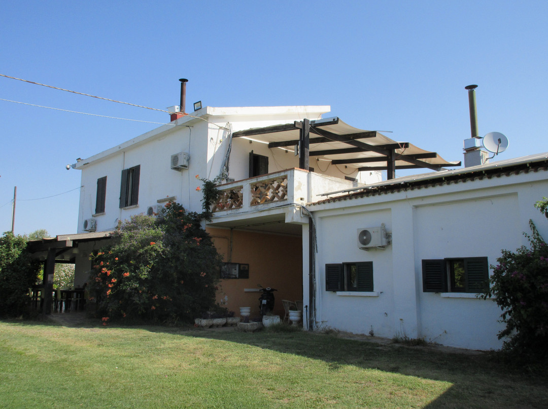 Agriturismo casa Panetta主图