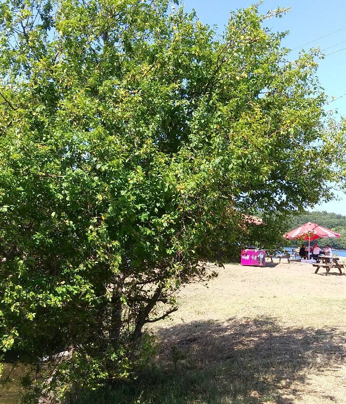 Akliman Limani Parki景点图片