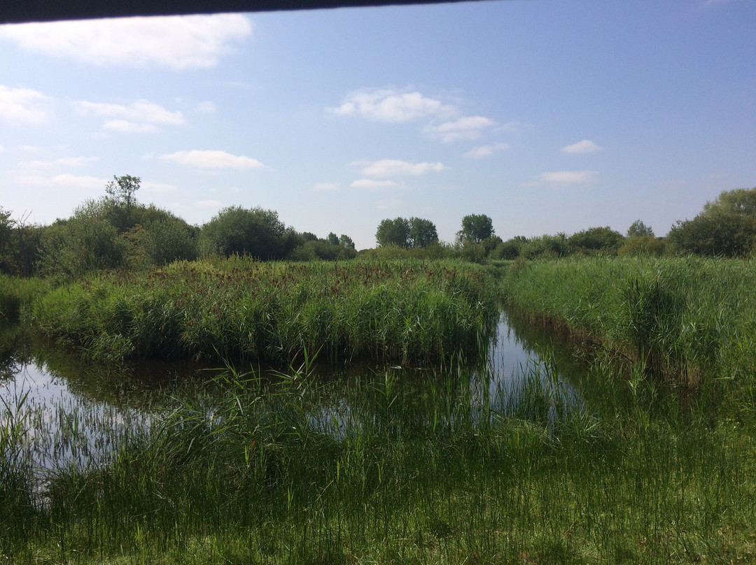 RSPB Fowlmere Nature Reserve景点图片