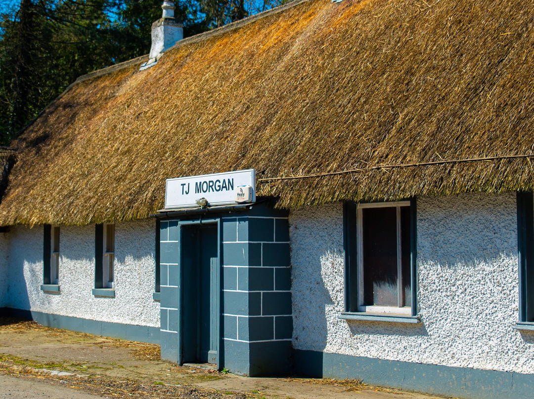 Morgan's Pub-Drogheda必去景点