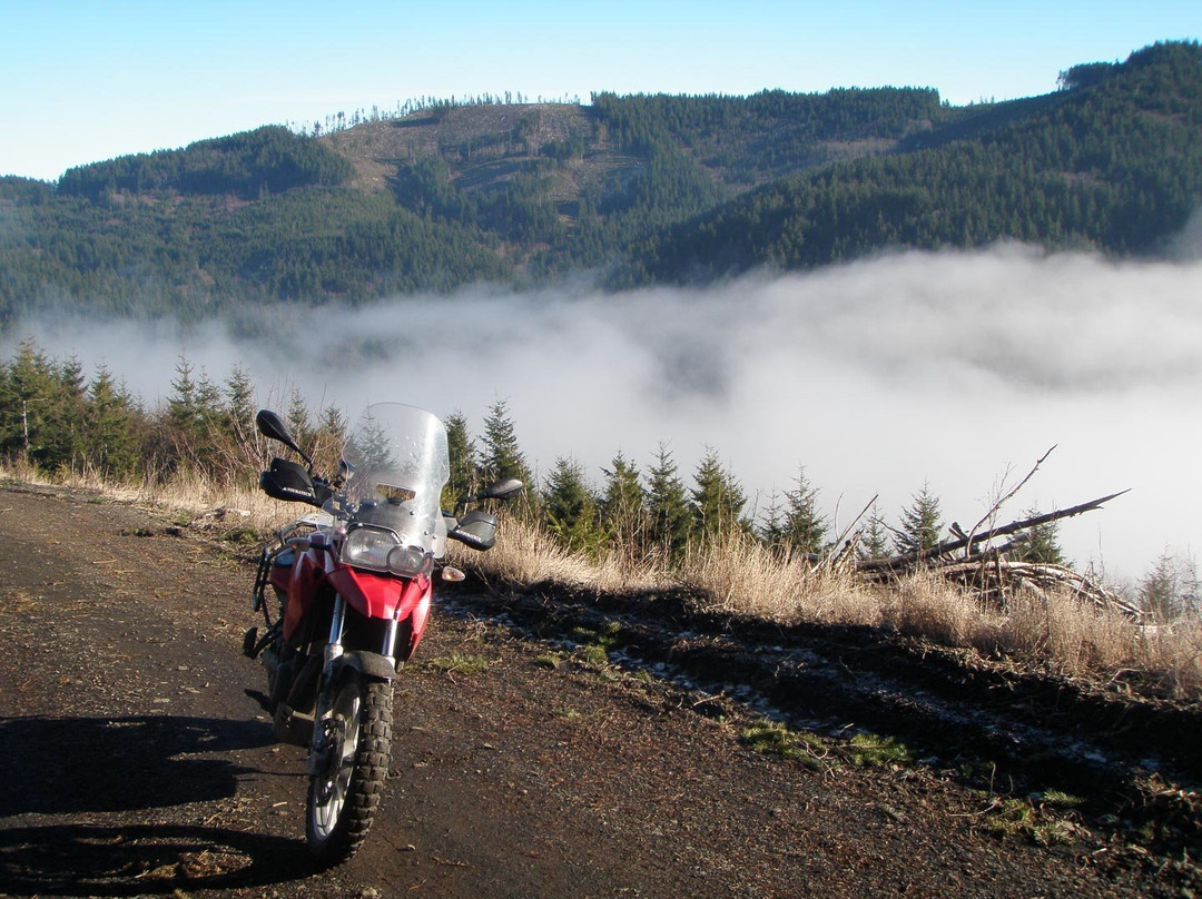 Capitol State Forest-奥林匹亚必去景点