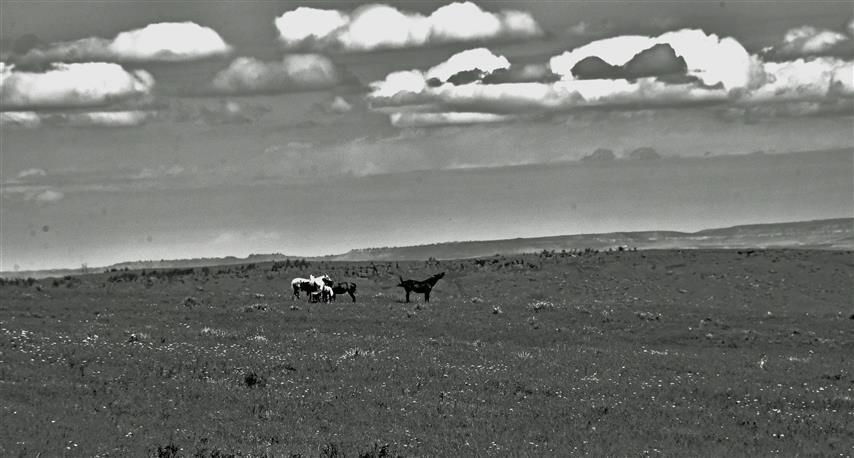 Yellowtail Reservoir-Hardin必去景点