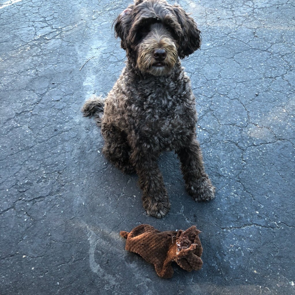 Creston Valley Motel-官方