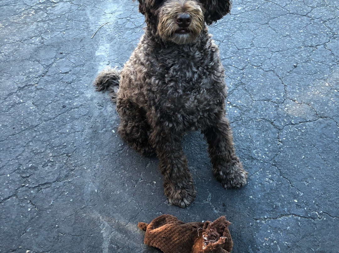 Creston Valley Motel
