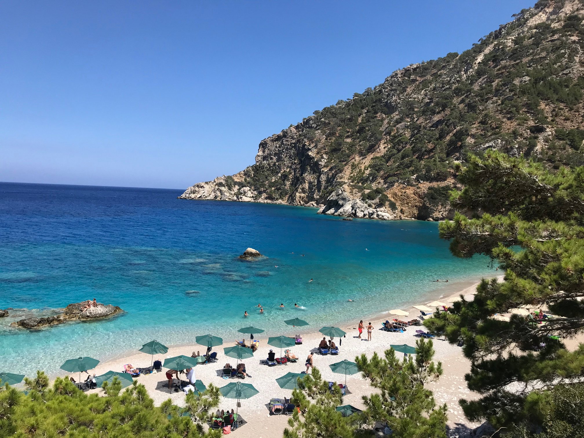 Amoopi Nymfes Royal-官方