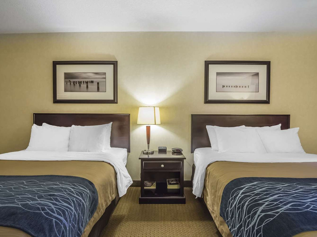 Comfort Inn & Suites主图