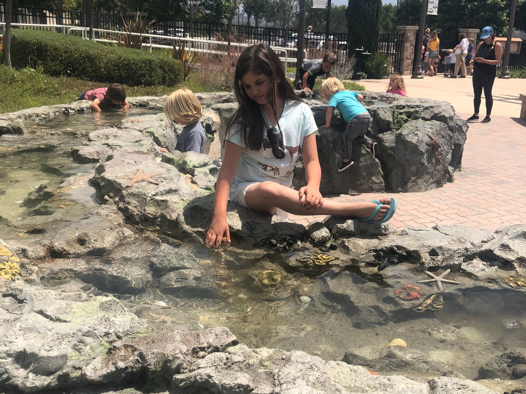 Courtney's SandCastle Universal Playground-圣克莱蒙顿必去景点