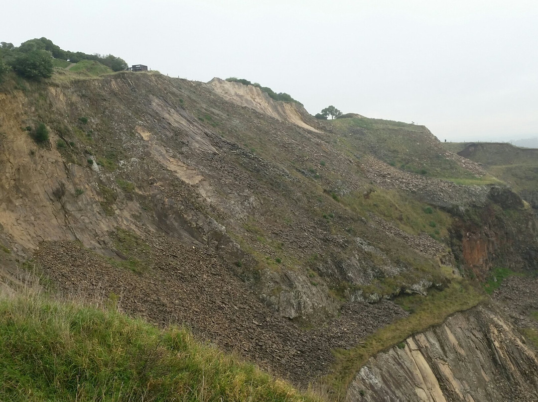 Halswell Quarry Park景点图片