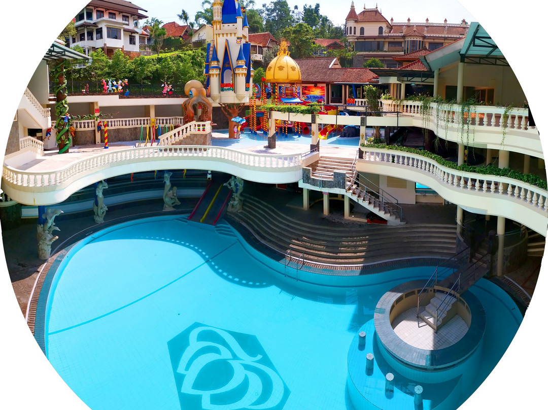 Vanda Gardenia主图