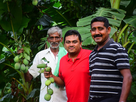 SR Jungle Resort主图