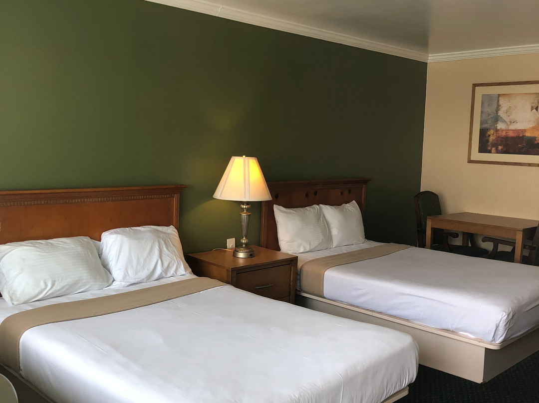 Economy Motel主图