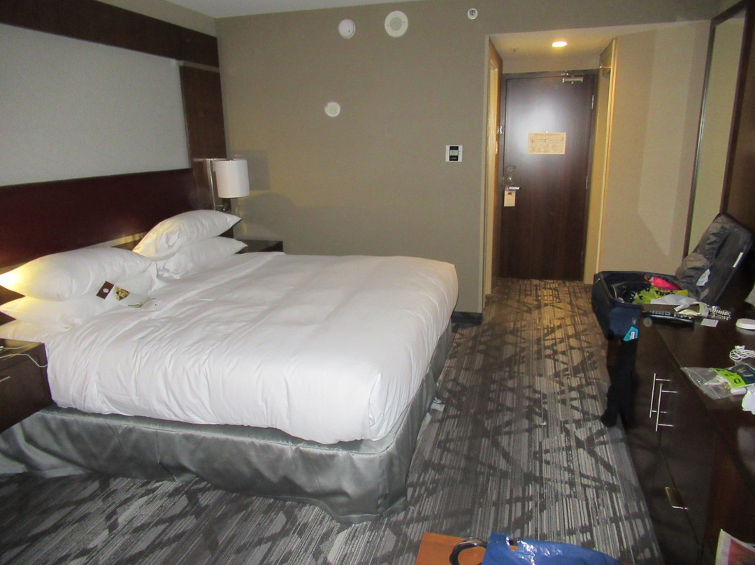 The Novel Stay主图