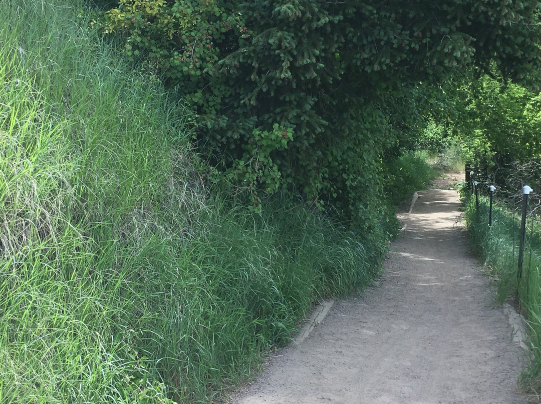 White Ranch Park-戈尔登必去景点