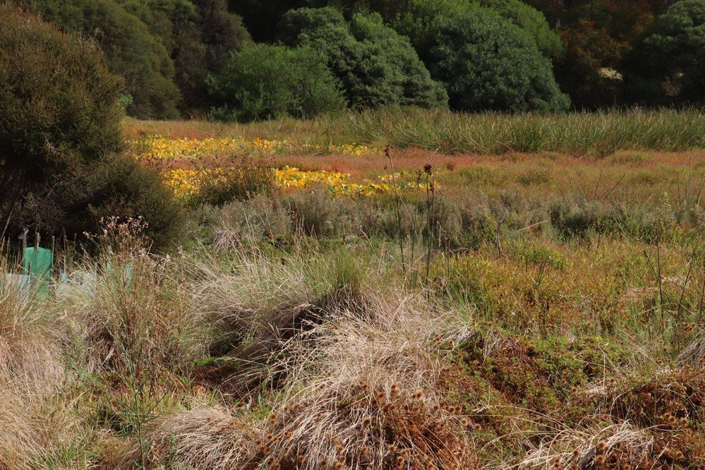 Allen Noble Sanctuary-Aireys Inlet必去景点