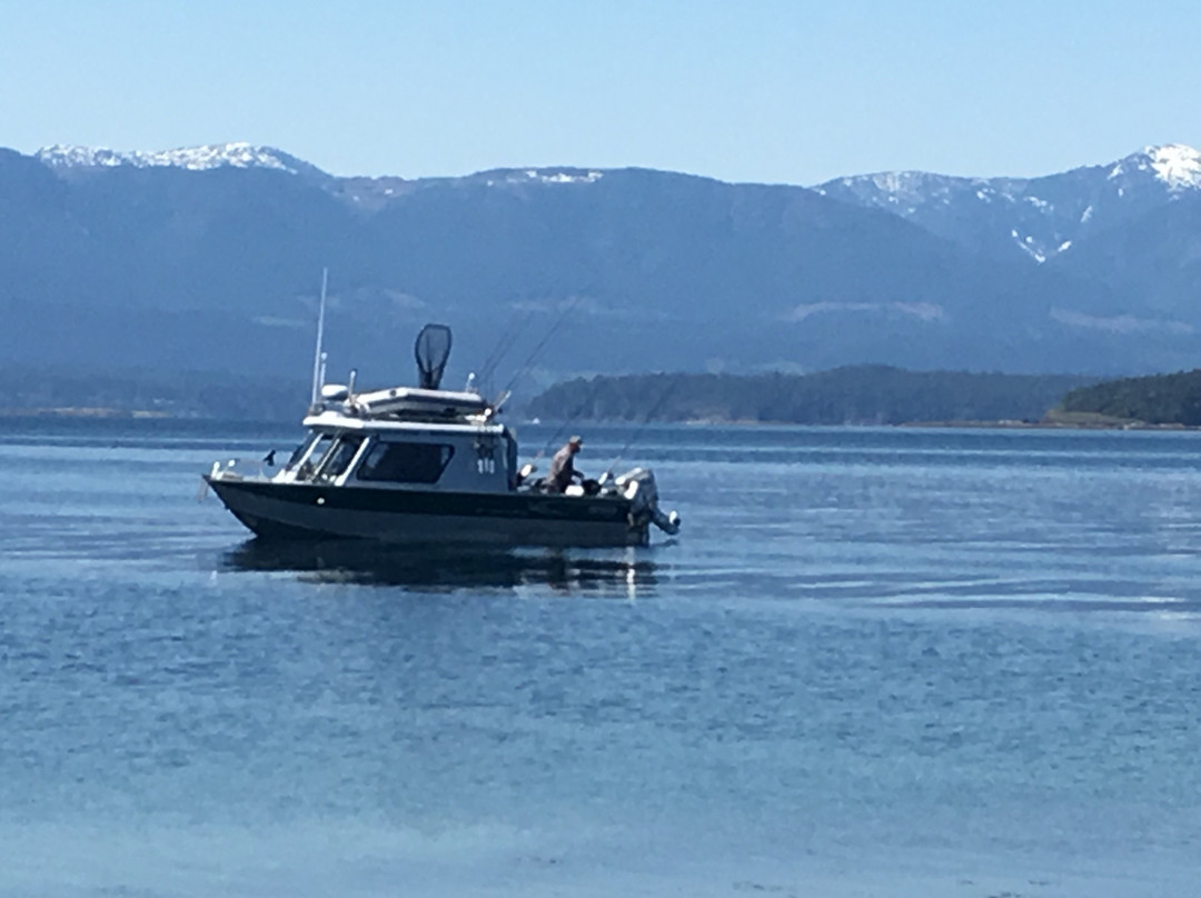 Van Isle Fishing and Marine Adventures景点图片