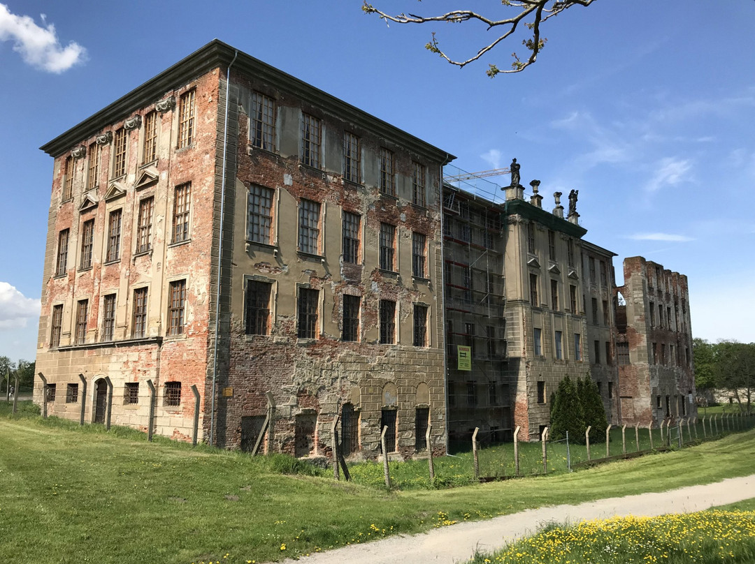 Schloss Zerbst景点图片